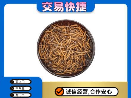 怀宁县回收散虫草